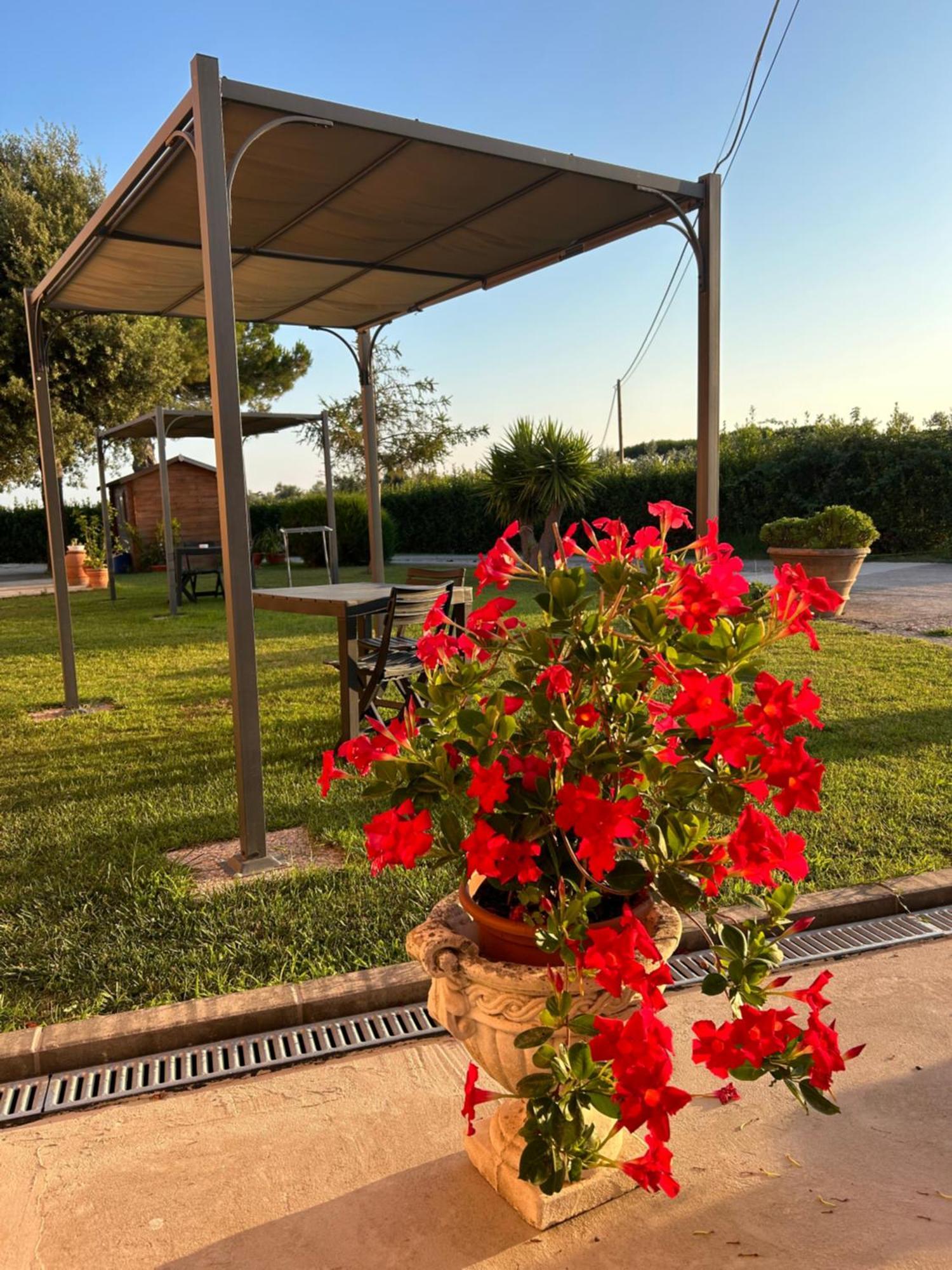 Agriturismo Da Michele E Carmela Di Voli Patrizia 多诺然蒂克 外观 照片